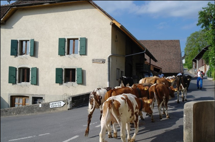 Le Village de l'Abergement, pied du Jura, Vaud, Suisse romande